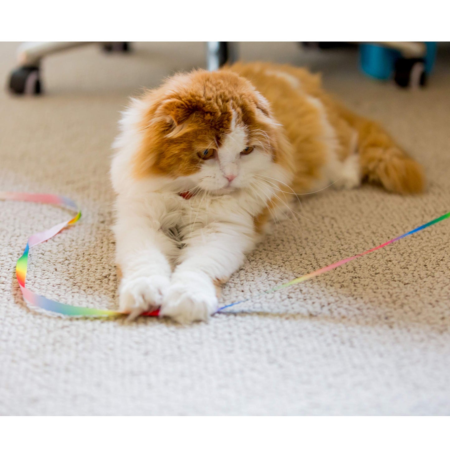 15-Piece Interactive Cat Toy Set – Cat Play Mat with Teaser Wand, Crinkle Balls, Plush Mice & Catnip Toys for Indoor Kittens and Small Pets