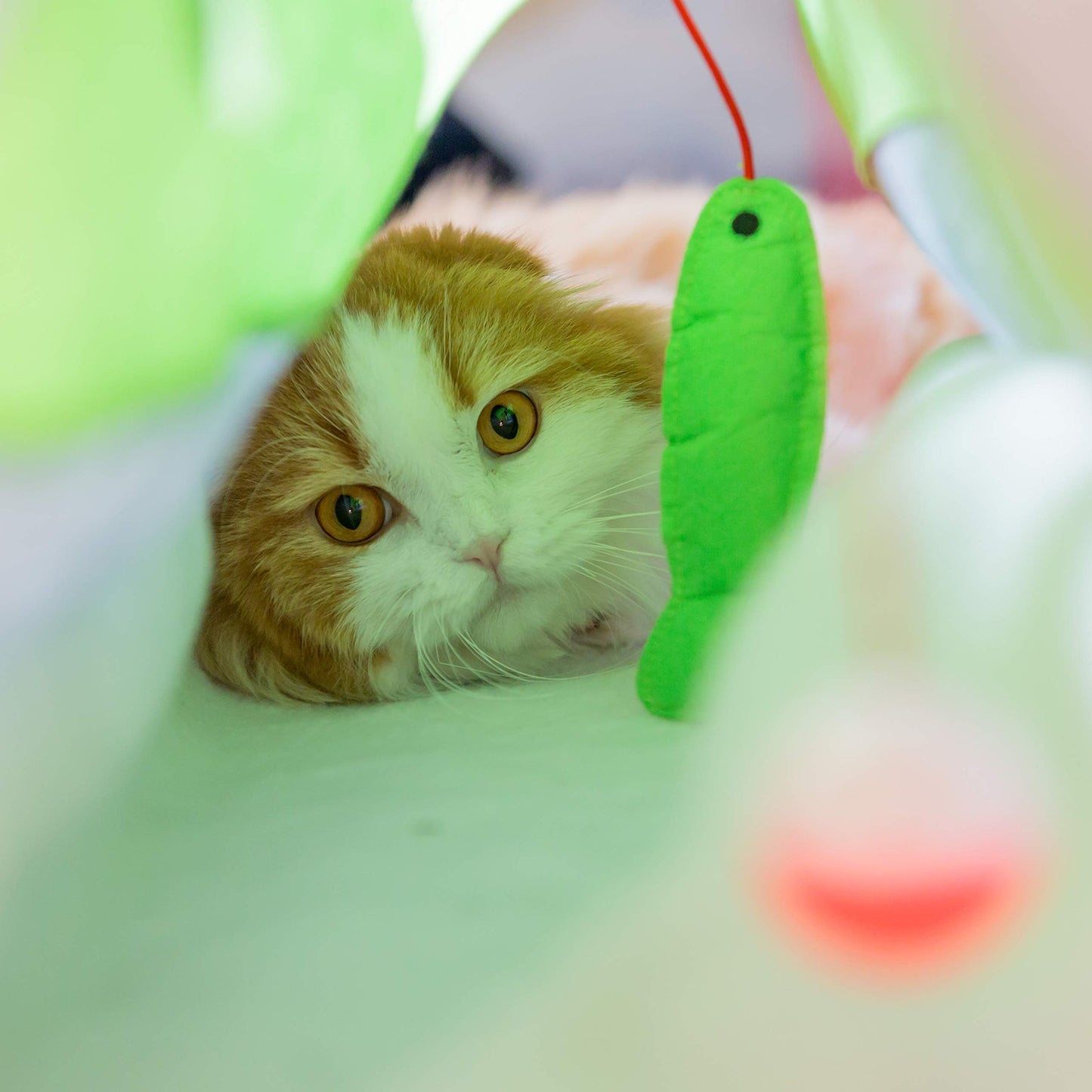 15-Piece Interactive Cat Toy Set – Cat Play Mat with Teaser Wand, Crinkle Balls, Plush Mice & Catnip Toys for Indoor Kittens and Small Pets