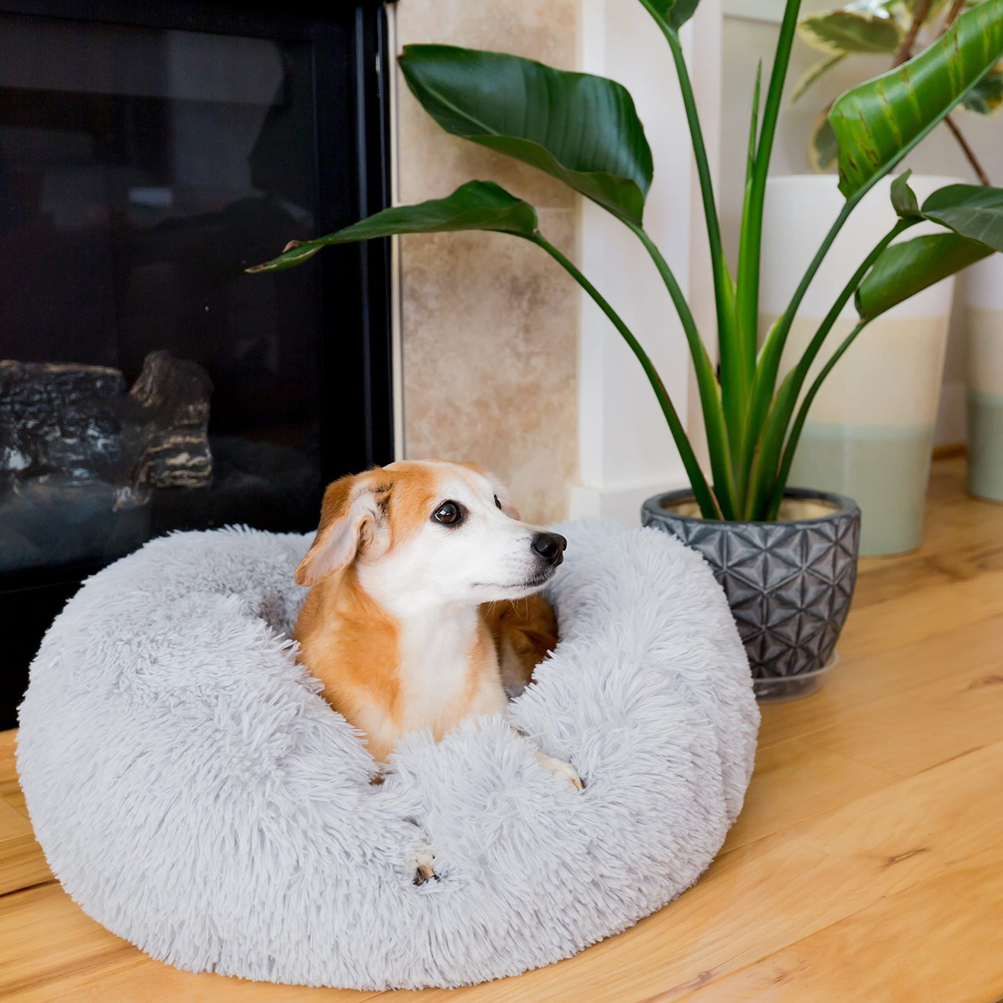 Round Calming Donut Pet Bed – Fluffy Soft Dog & Cat Bed for Small Pets, Anti-Anxiety Cozy Nest for Sleeping & Cuddling, 20/25 Inch Diameter
