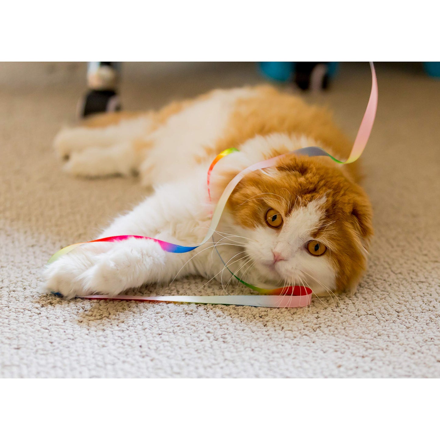 15-Piece Interactive Cat Toy Set – Cat Play Mat with Teaser Wand, Crinkle Balls, Plush Mice & Catnip Toys for Indoor Kittens and Small Pets